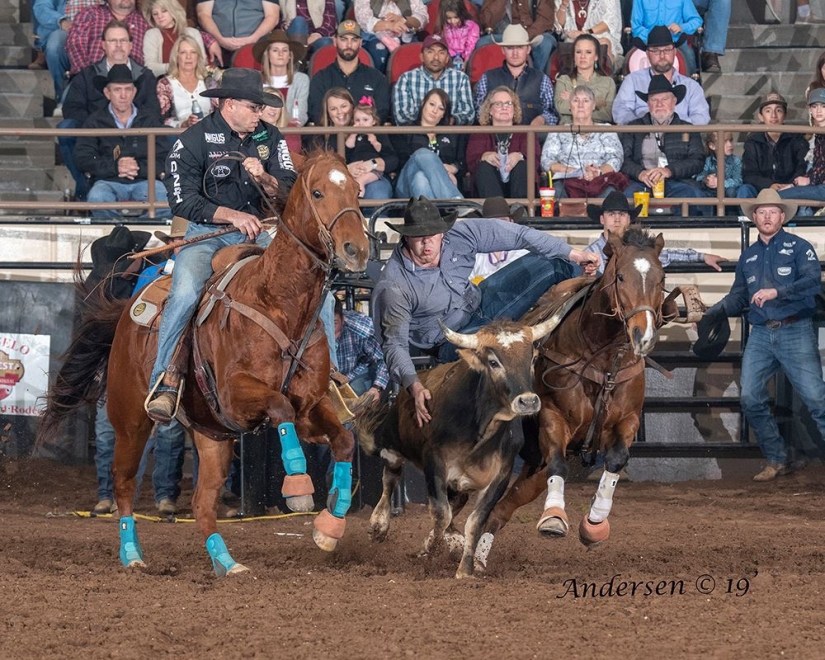 NFR Pedigree Analysis – The Western Thoroughbred