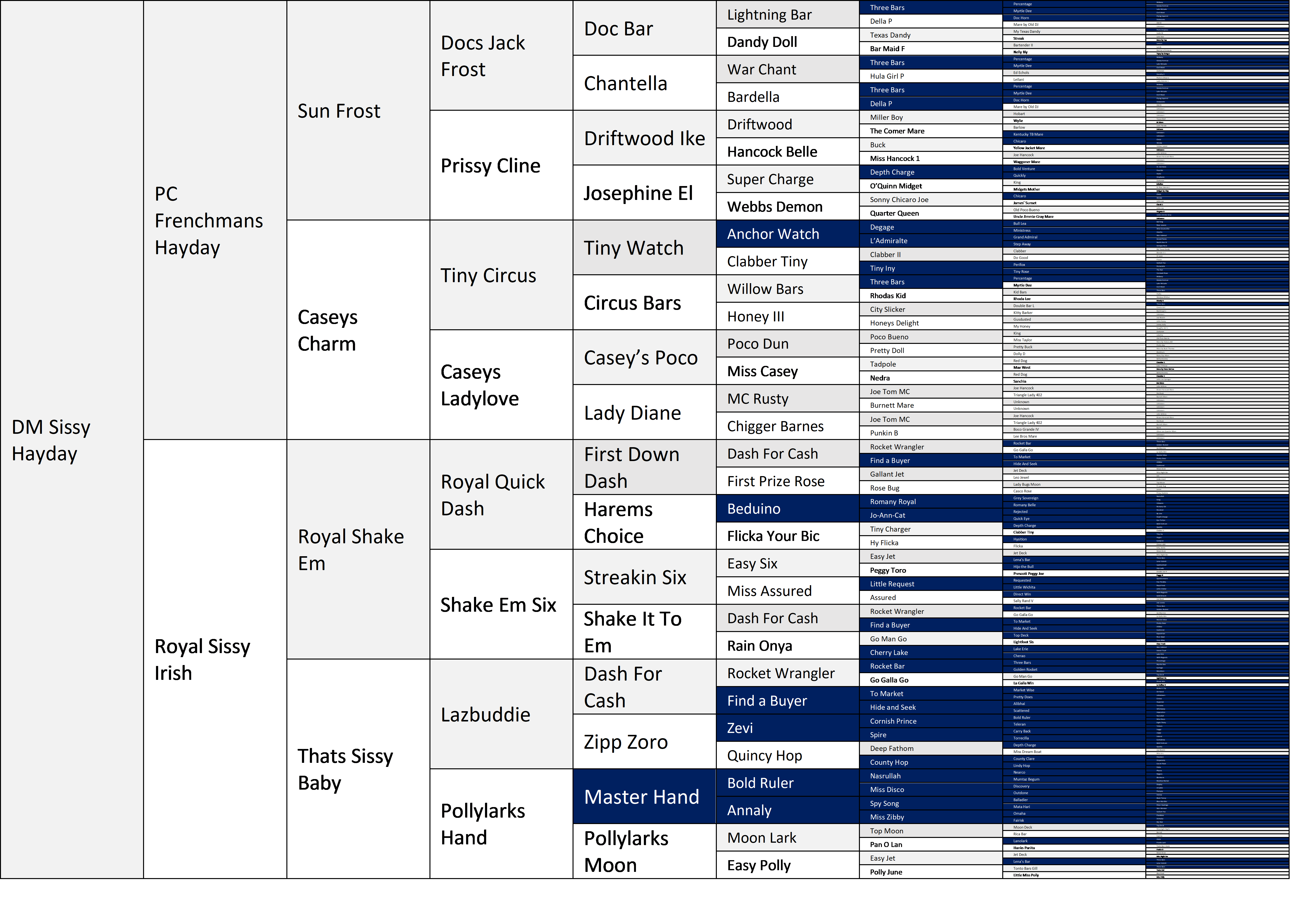 2025 WNFR Pedigree Analysis The Western Thoroughbred